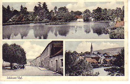 Schönsee PLZ 8476