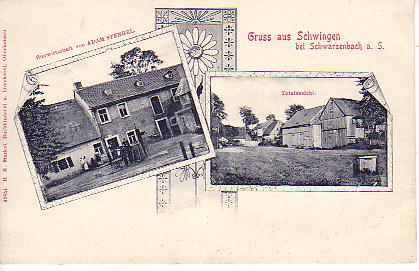 Schwingen PLZ 8676