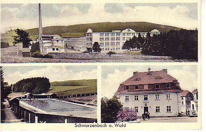 Schwarzenbach Wald PLZ 8678