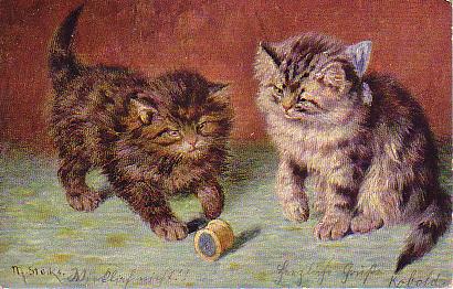 Zwei Katzen spielen mit Zwirn