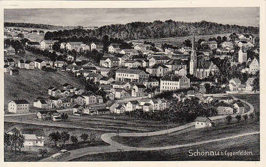 Schönau PLZ 8338