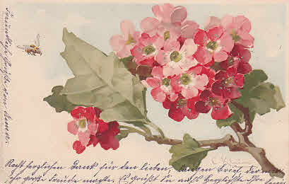 Künstler Karte Catharina Klein
