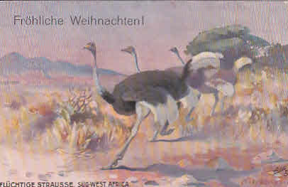 Flüchtige Strauße Künstler Karte