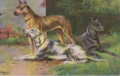 Drei Hunde ruhen sich aus