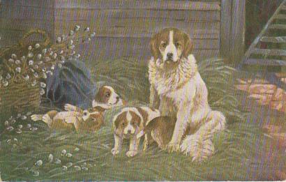 Hundefamilie auf einer Wiese