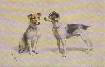 Zwei Hunde zusammen
