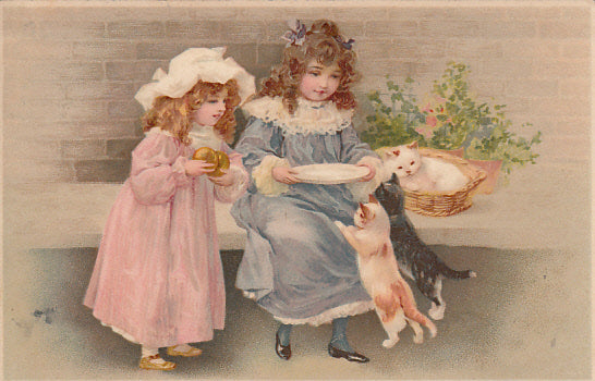 Meissner & Buch Kinder spielen mit Katzen