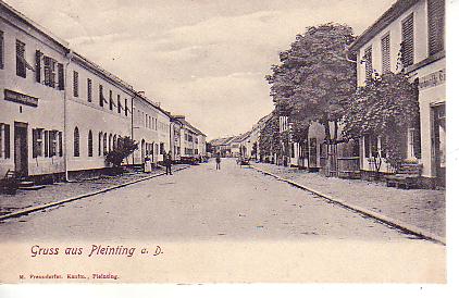 Pleinting PLZ 8351