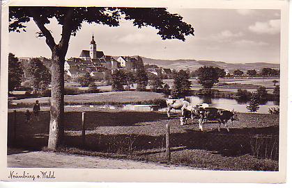 Neunburg vorm Wald PLZ 8462
