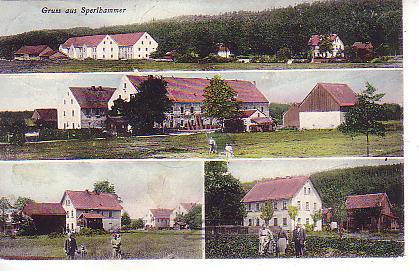 Sperlhammer PLZ 8481