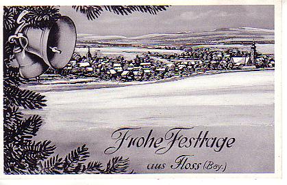 Floß PLZ 8485