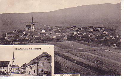 Goßmannsdorf PLZ 8729