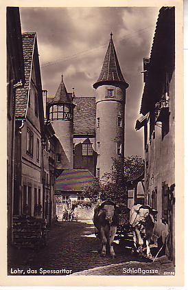 Lohr PLZ 8770