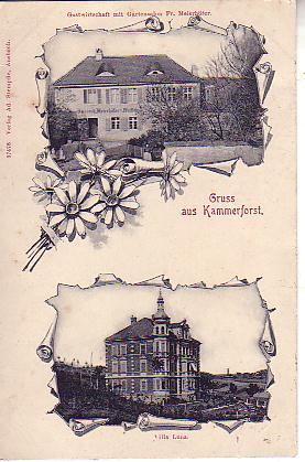 Kammerforst PLZ 8800