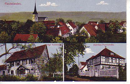 Flachslanden PLZ 8802