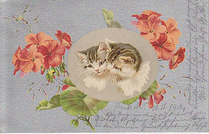 Katzen mit Blumen