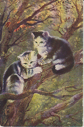 Katzen im Baum