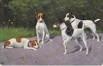 Hunde, Gruppenbild