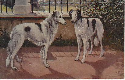 Hunde, Gruppenbild