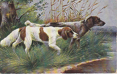 Hunde auf der Jagd