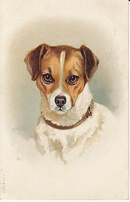 Hundekopf