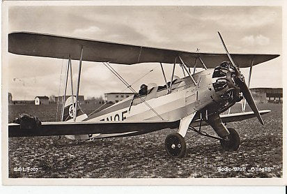 Focke Wulf Fw 44 " Stieglitz"