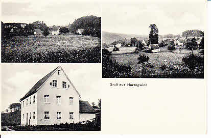Herzogwind PLZ 8571