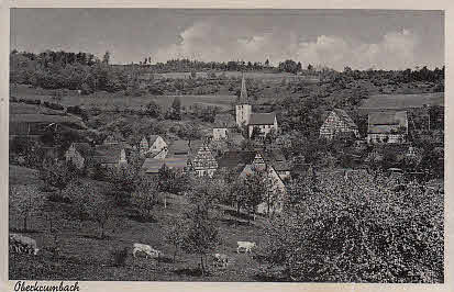Oberkrumbach PLZ 8561