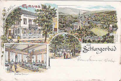 Schlangenbad PLZ 6229