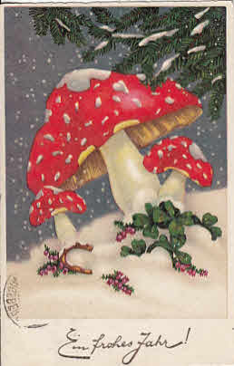 Fliegenpilze