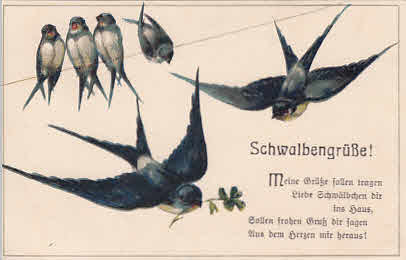 Schwalben Grüße