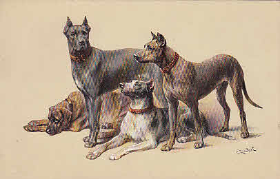 Künstler Ak C.Reichert M.M. Vienne Nr.287 Hunde