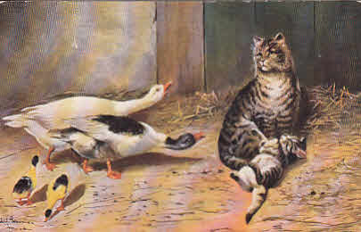 Katzen mit Gänse