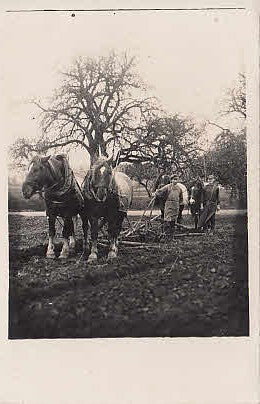 Foto Karte Landwirtschaft