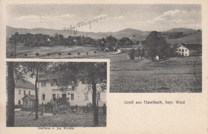 Haselbach PLZ 8391