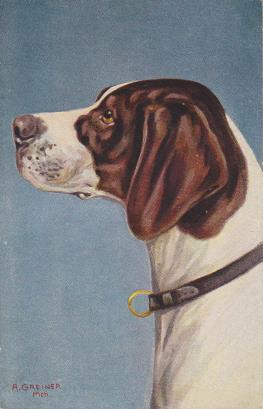 Hunde ach bin ich nicht schön