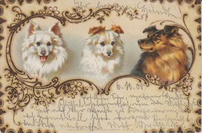 Hundefamilie vereint