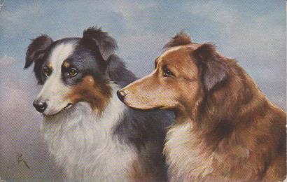 Zwei Hunde schauen in die Ferne