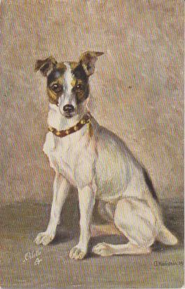Hund Künstler Karte Hanstein