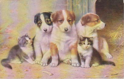 Hundefamilie zusammen
