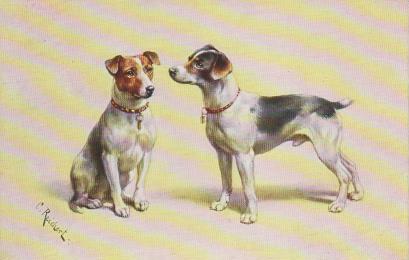 Zwei alte Hundefreunde