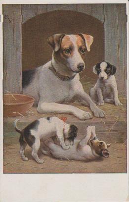 Hundefamilie ruht sich aus