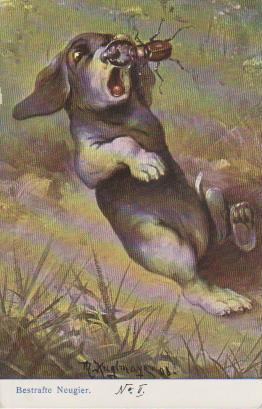 Hund - Bestrafte Neugier -