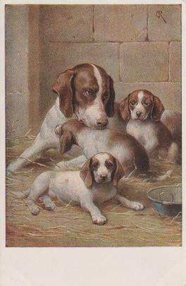 Hundefamilie zusammen