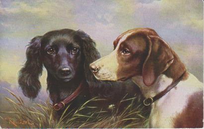 Zwei Hundefreunde ruhen sich aus