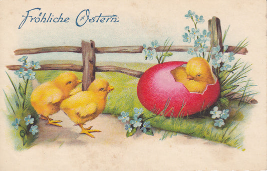 Fröhliche Ostern Küken beim Schlüpfen