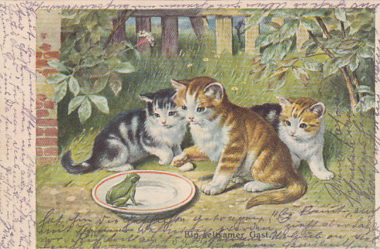 Katzen beobachten den Frosch Künstler Ak B.K.W.I. 545-4