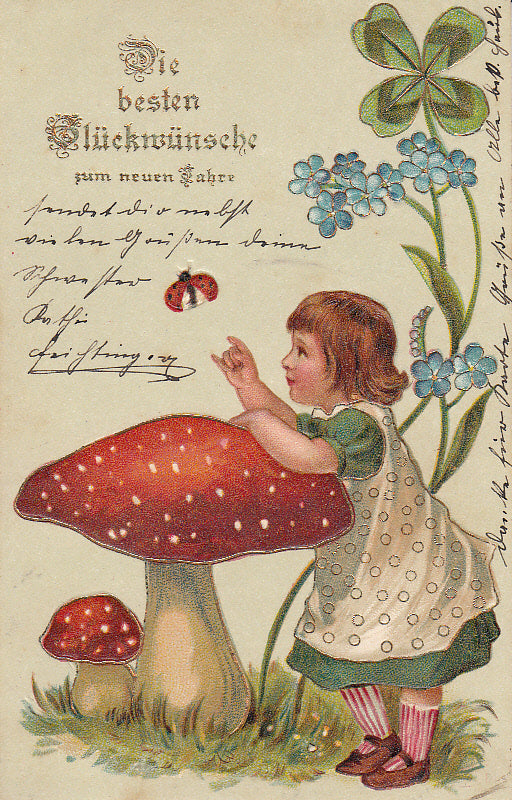 Fliegenpilz Mädchen Junikäfer Kleeblatt