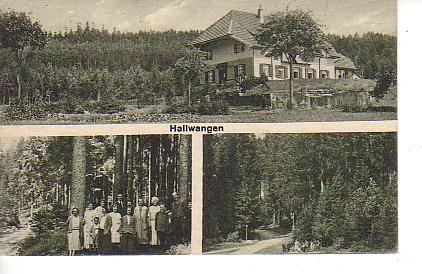 Hallwangen PLZ 7295